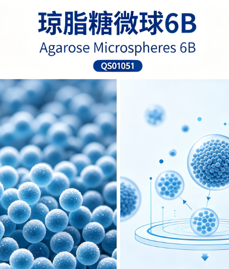 琼脂糖微球 6B （Agarose Microspheres 6B）