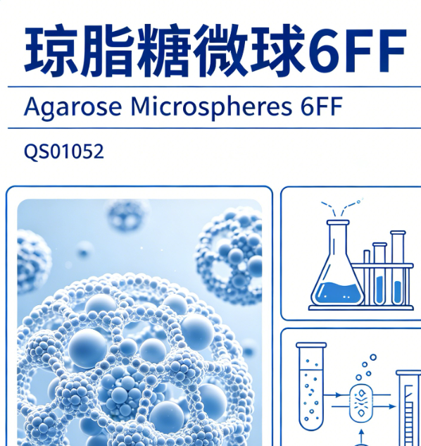 琼脂糖微球 6FF （Agarose Microspheres 6FF）